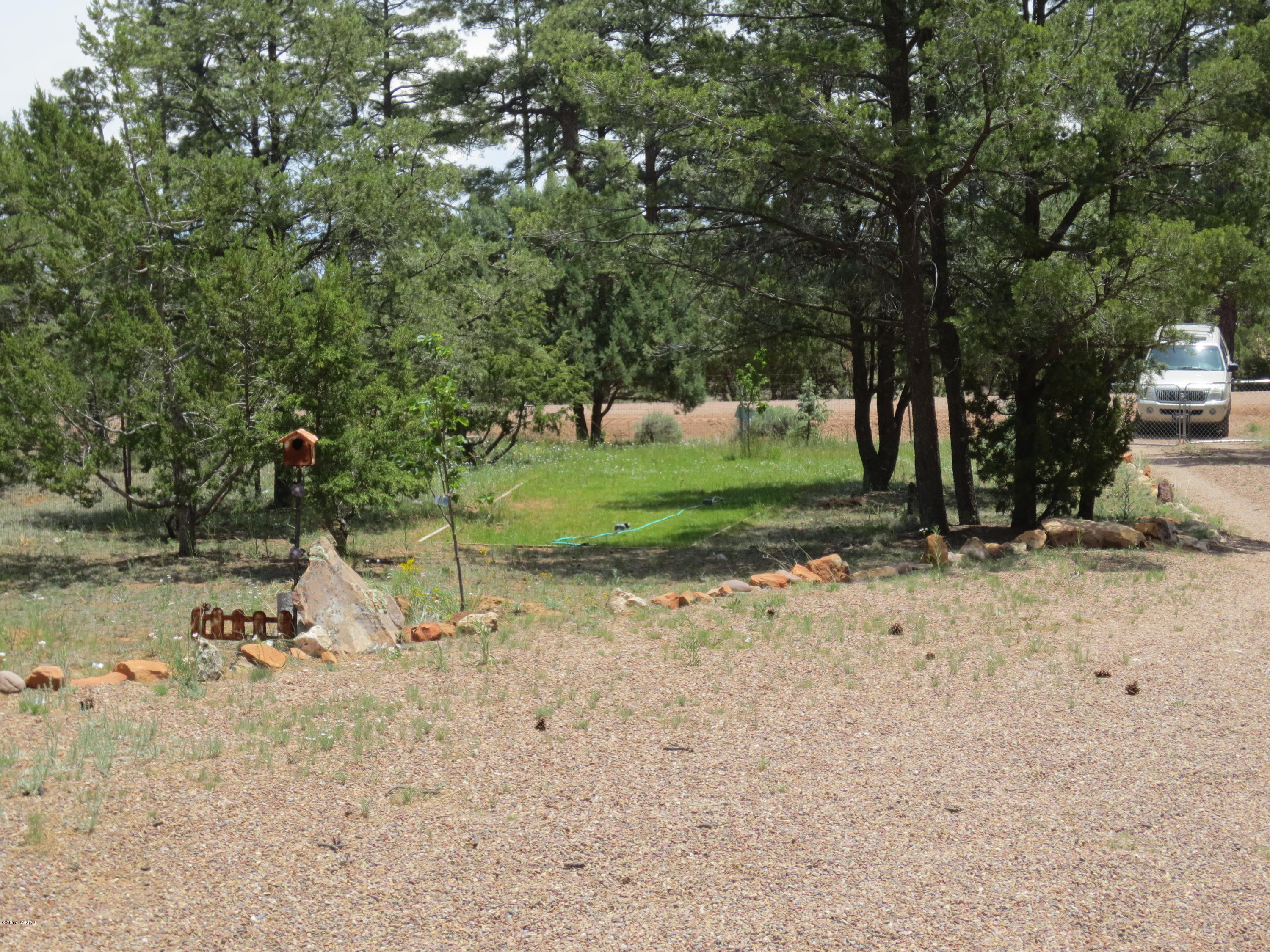 3530 Buckskin Road Overgaard, AZ 85933 - Photo 18 of 27