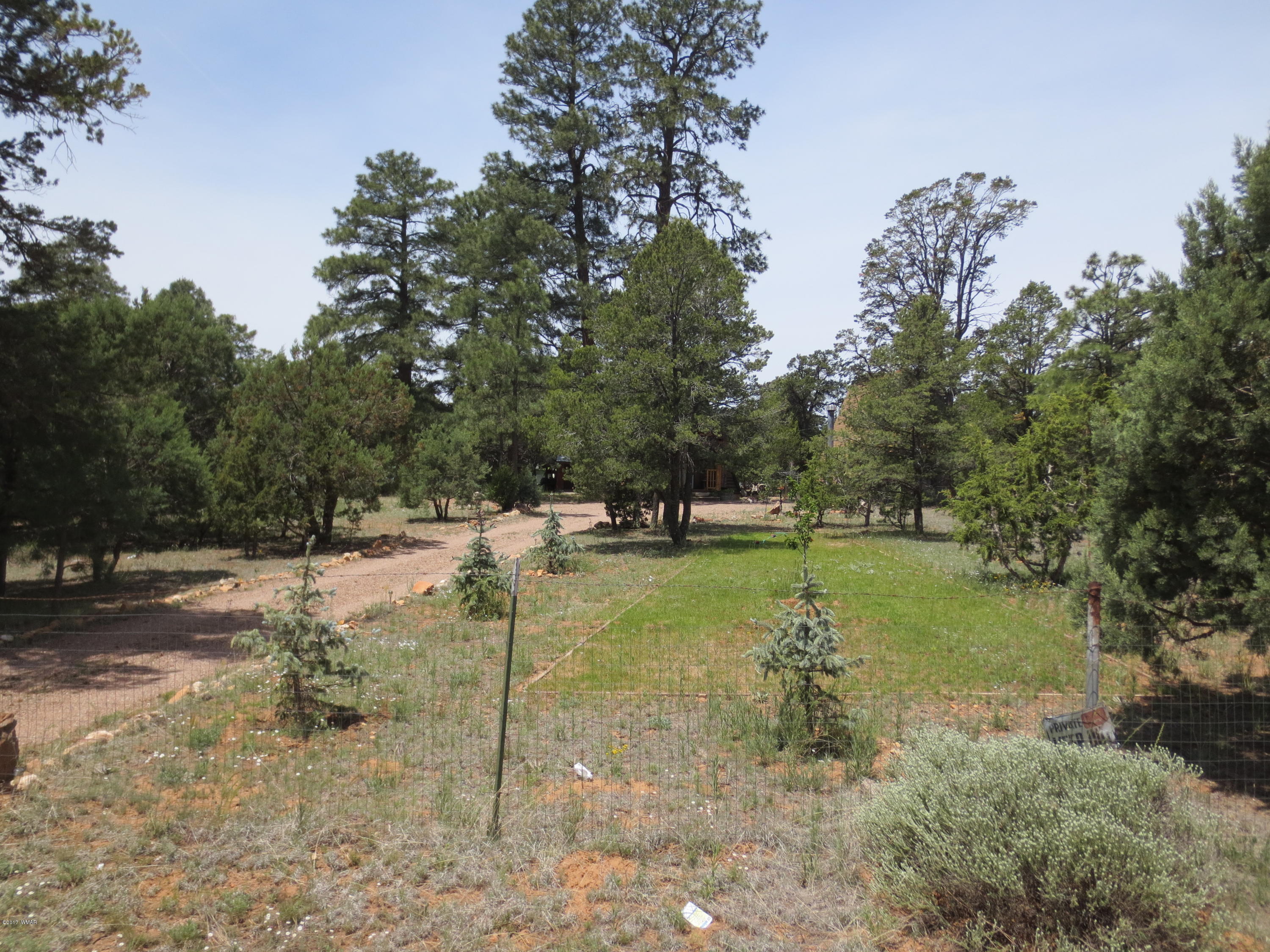 3530 Buckskin Road Overgaard, AZ 85933 - Photo 2 of 27