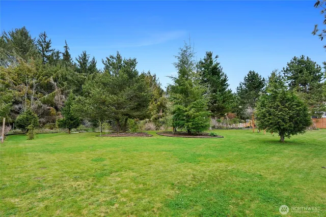 a view of a grassy field with trees in the background