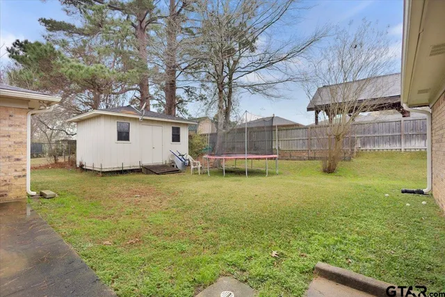 a view of a backyard with plants and large tree