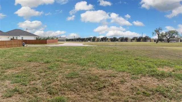 a view of a yard with a tree