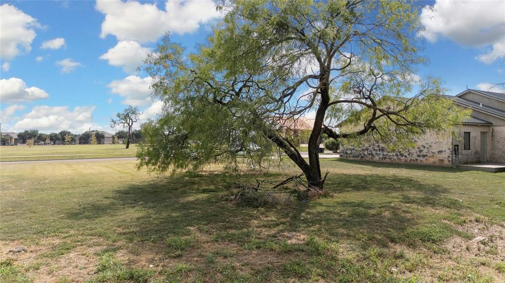 Tbd Tbd Saddle Creek Waco, TX 76708 - Photo 16 of 22 a view of a yard with a tree