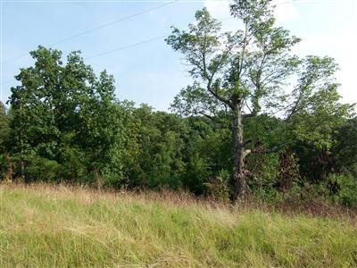 8313 Kelly Road, Unit LOT 2 Burlington, KY 41005 - Photo 5 of 8 Gallery Image 5
