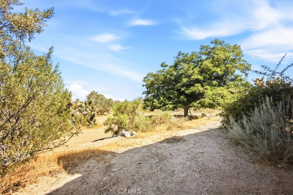 1397 Sierra Road Pinon Hills, CA 92372 - Photo 42 of 49
