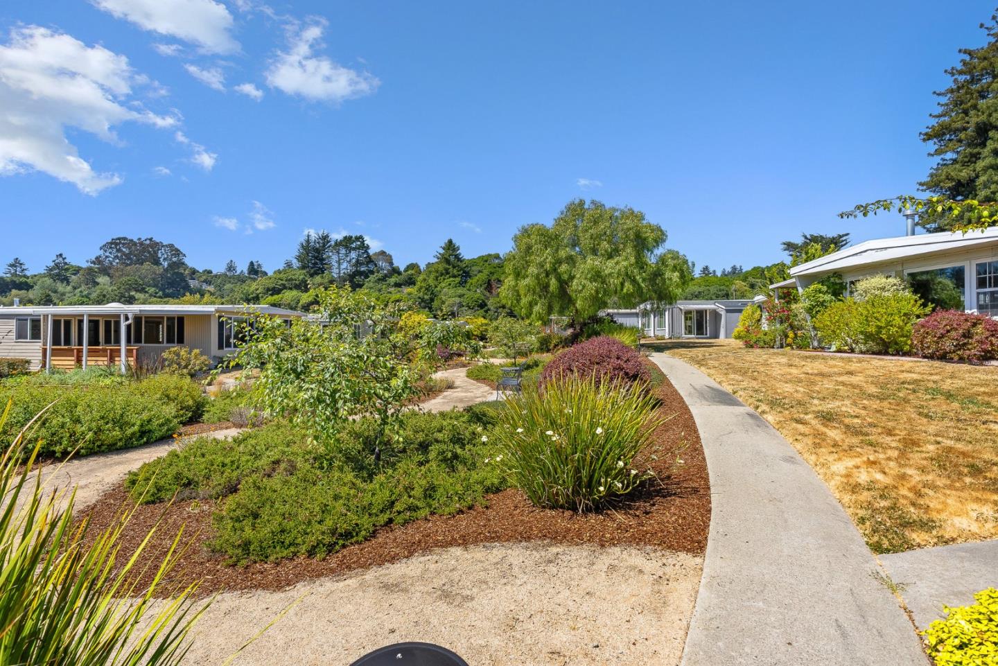15 Oak Shadows Lane, Unit 15 Aptos, CA 95003 - Photo 29 of 56 a view of a yard with plants