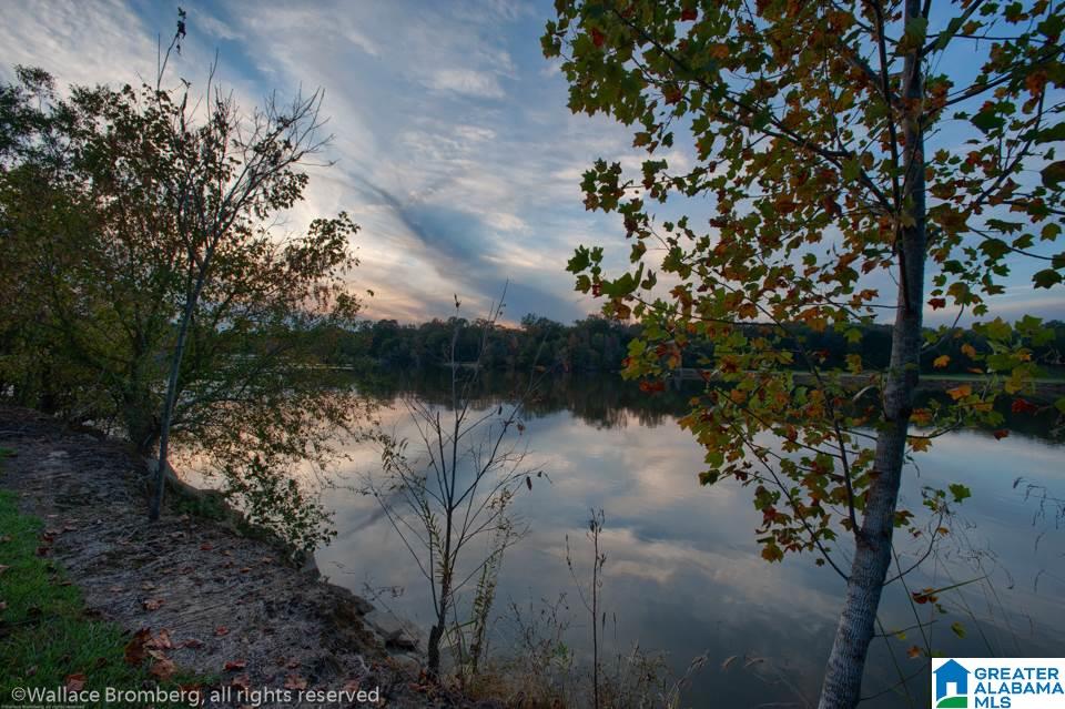 3015 Woods Ferry Road Lincoln, AL 35096 - Photo 22 of 22