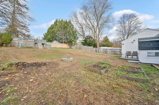 a view of yard with tree