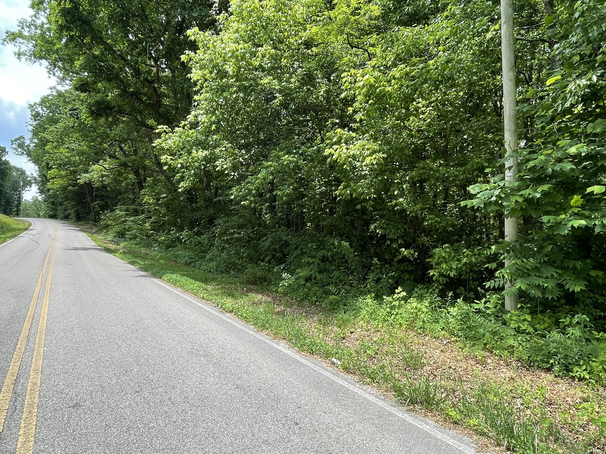 328 James Turner Road Tracy City, TN 37387 - Photo 3 of 16