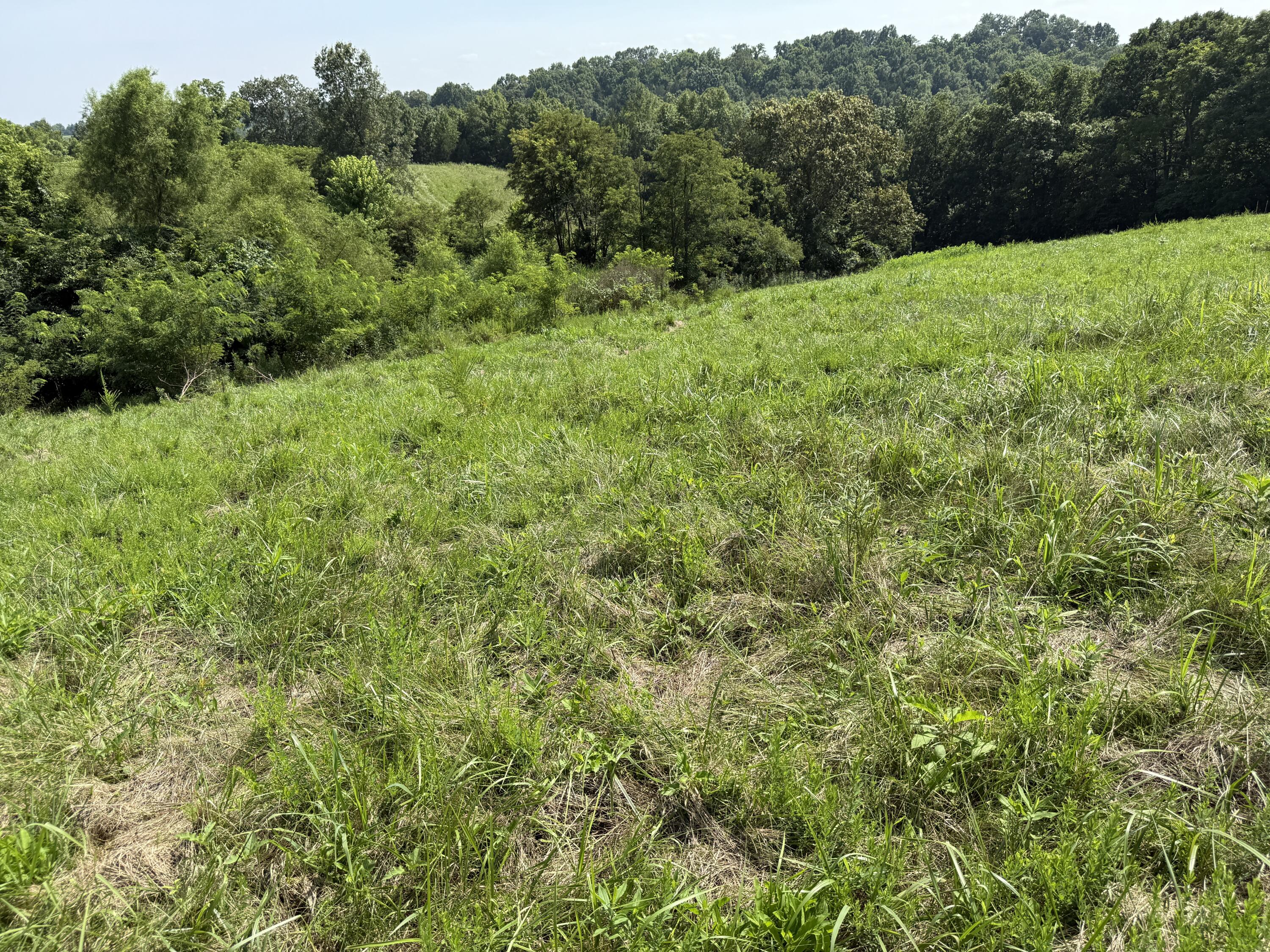 0 Goldsvalley Road Dry Ridge, KY 41035 - Photo 7 of 50