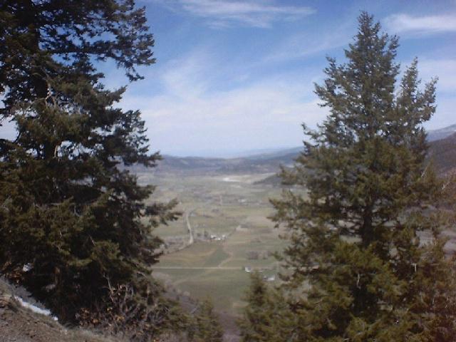 10 Park Estates Ridgway, CO 81432 - Photo 3 of 3 a view of a yard of a building