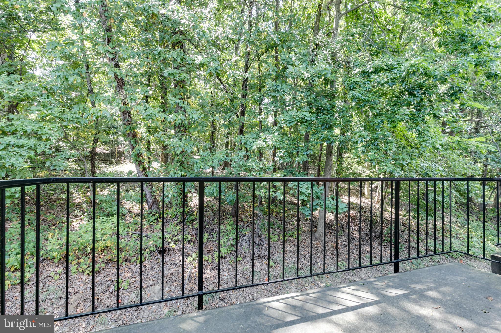 4637 28th Road South, Unit B Arlington, VA 22206 - Photo 9 of 23 View