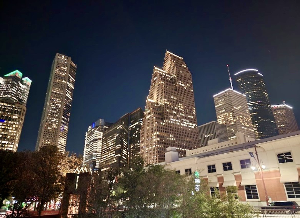 2010 St Charles Street Houston, TX 77003 - Photo 33 of 44