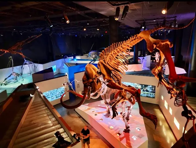 an aerial view of a house with a swimming pool