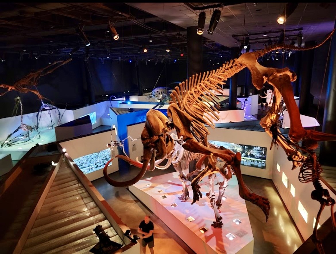 2010 St Charles Street Houston, TX 77003 - Photo 34 of 44