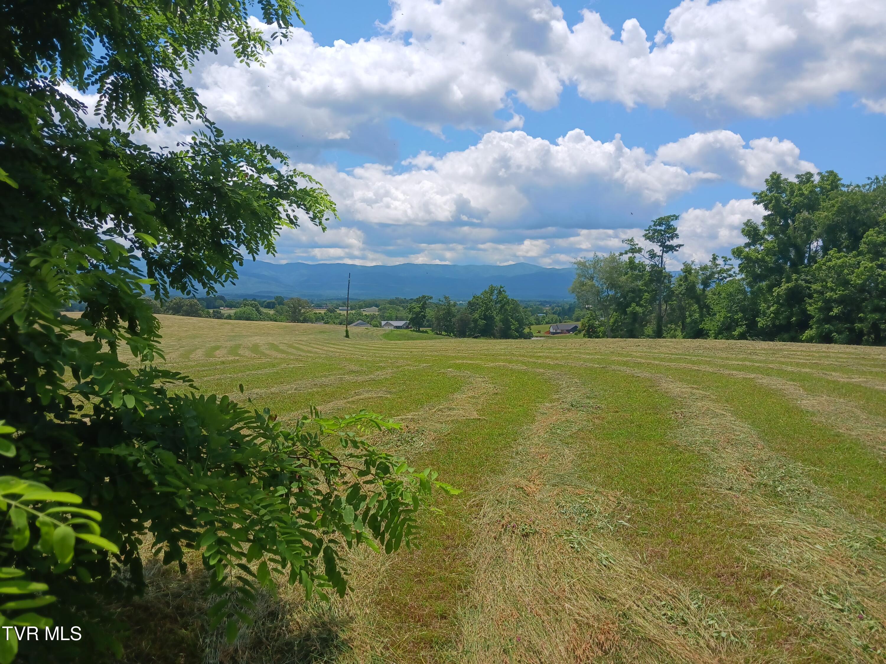 0 Old Stage Road Greeneville, TN 37745 - Photo 1 of 17 20240528_125252 (1)
