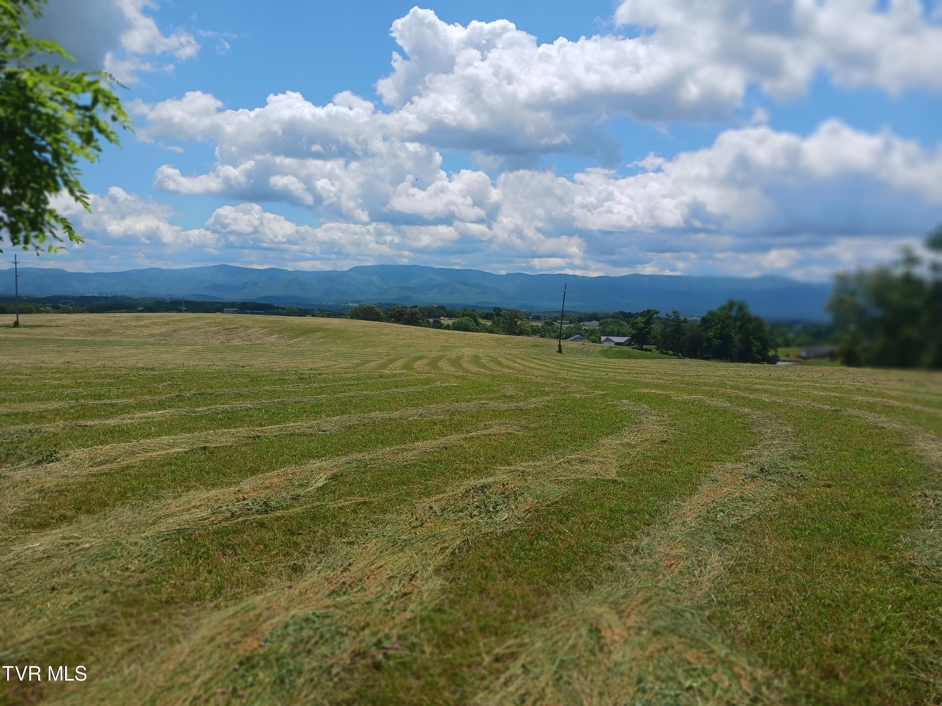 0 Old Stage Road Greeneville, TN 37745 - Photo 11 of 17 20240528_125304