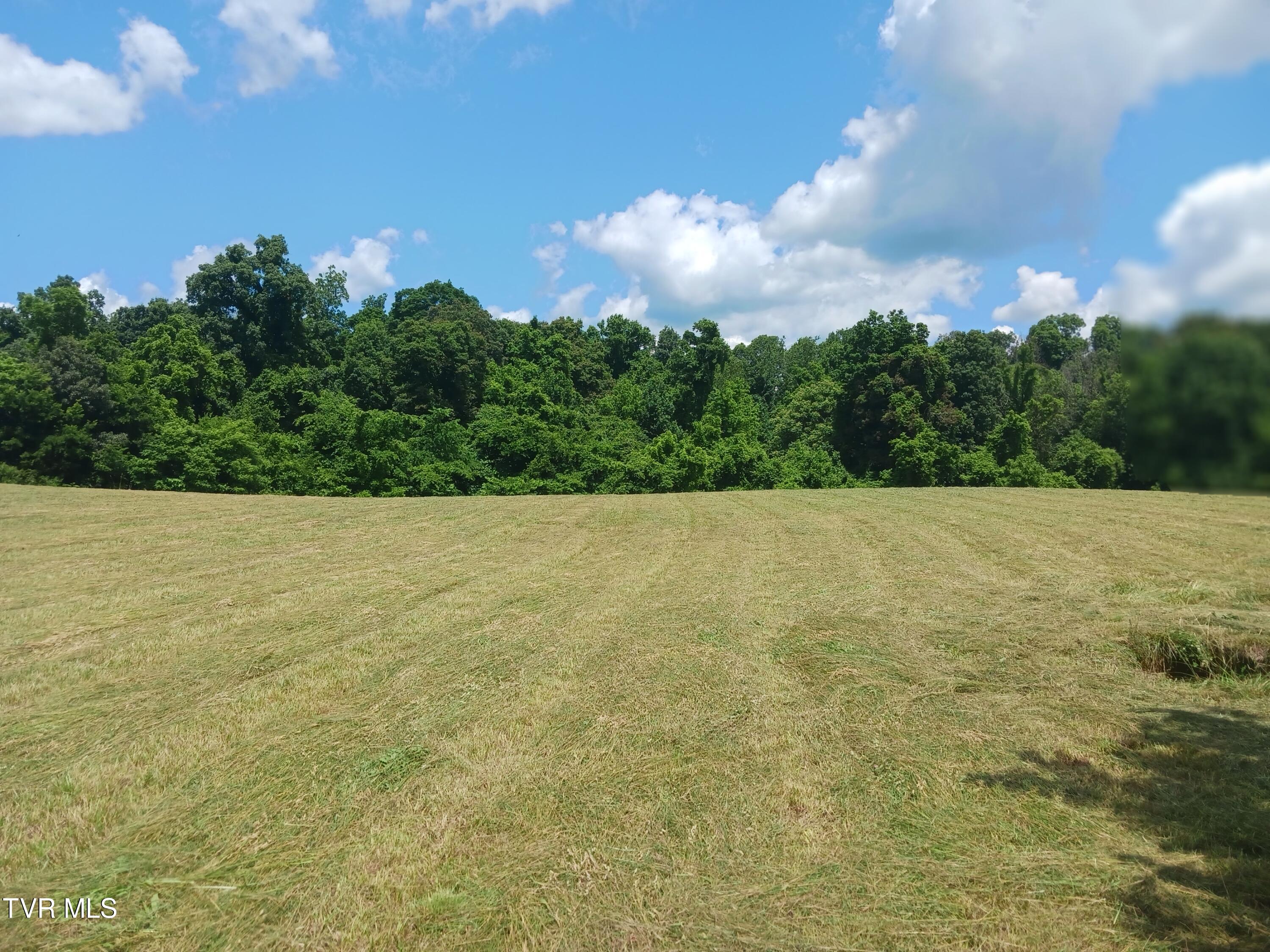 0 Old Stage Road Greeneville, TN 37745 - Photo 12 of 17 20240528_125312