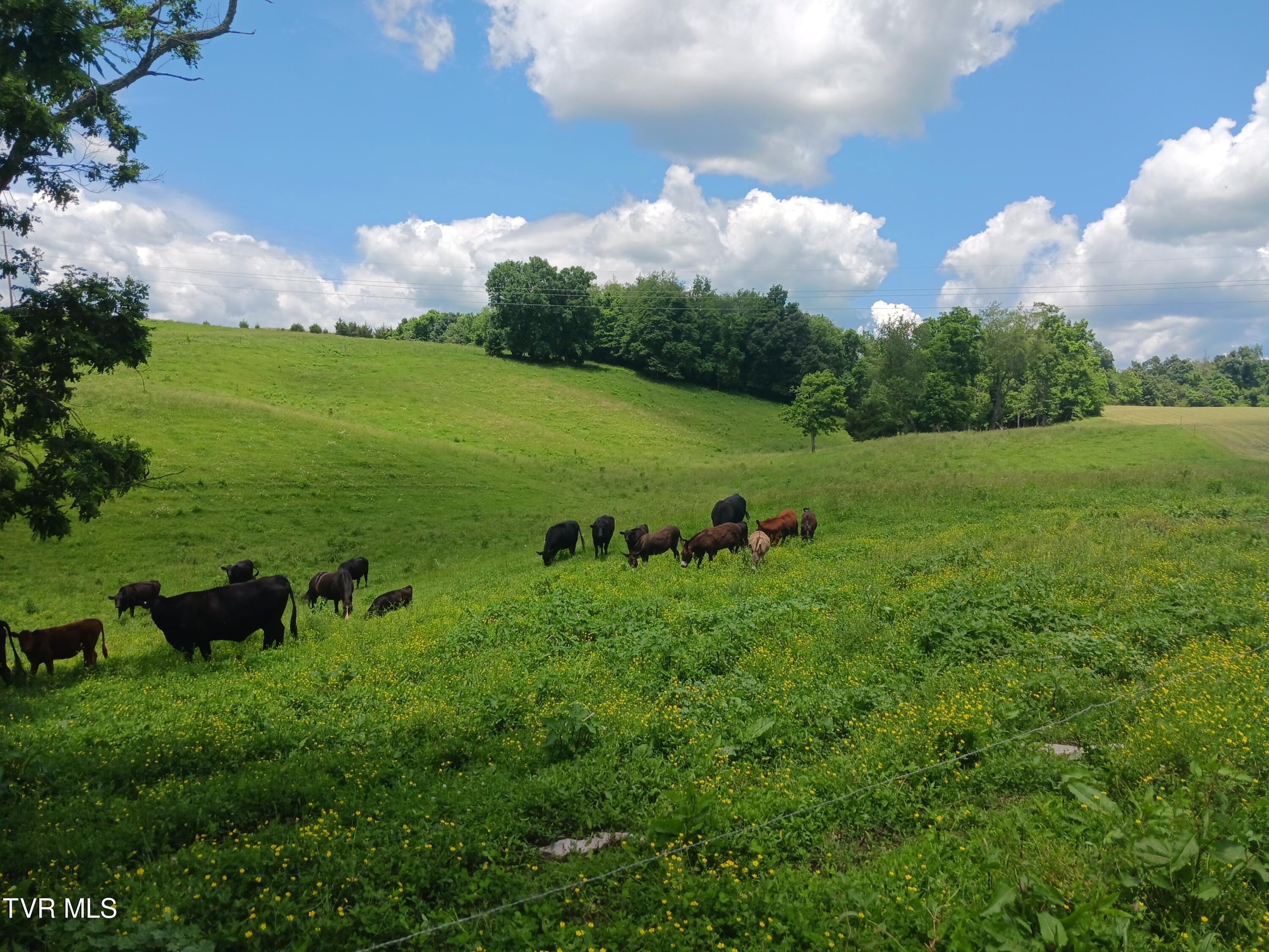 0 Old Stage Road Greeneville, TN 37745 - Photo 15 of 17 20240528_130231