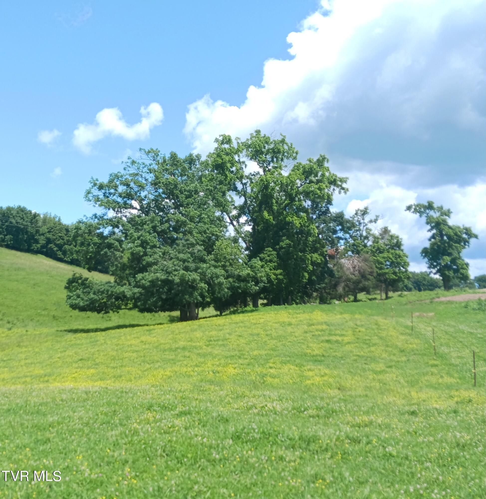 0 Old Stage Road Greeneville, TN 37745 - Photo 5 of 17 20240528_123036