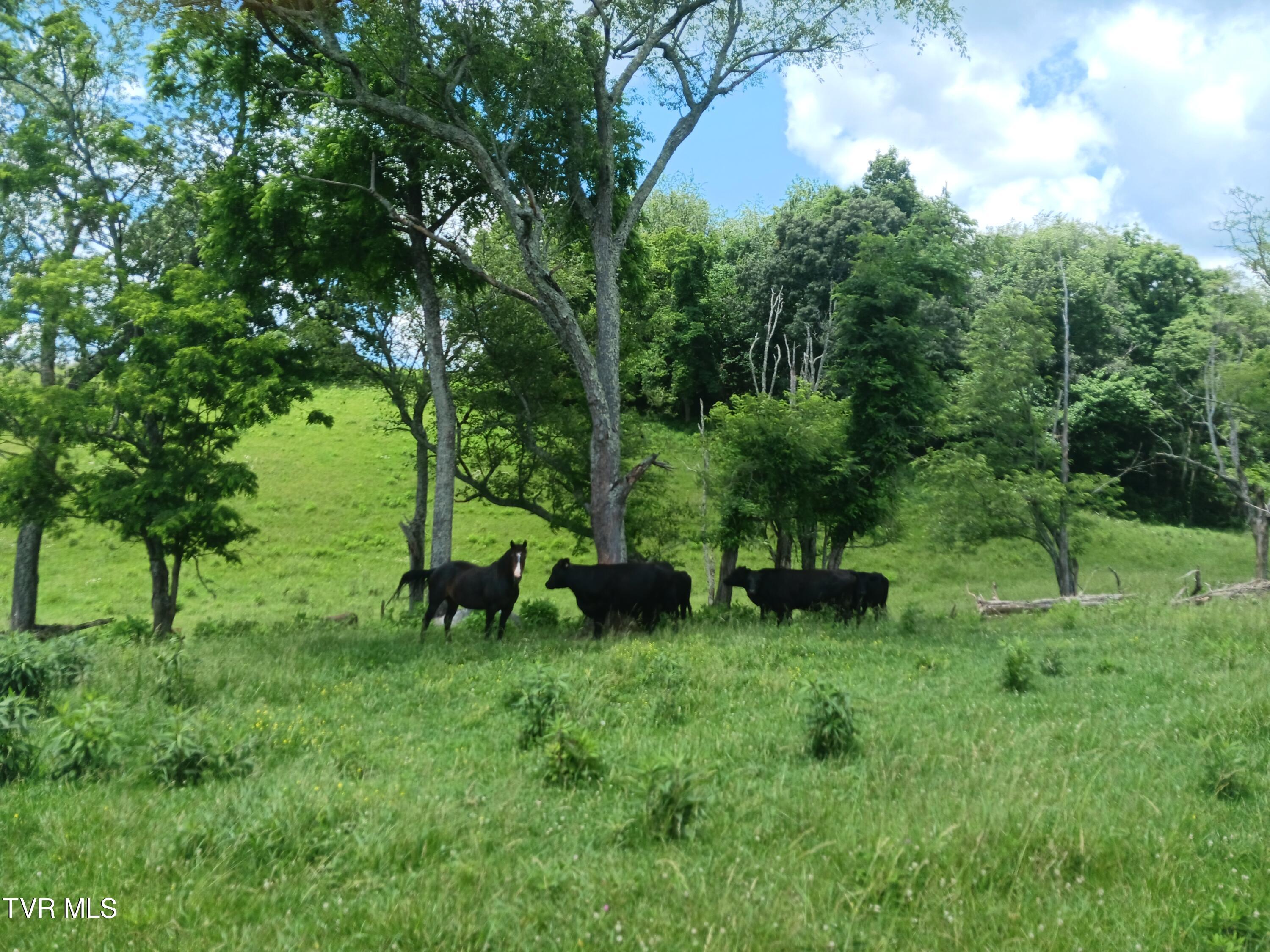 0 Old Stage Road Greeneville, TN 37745 - Photo 7 of 17 20240528_123745