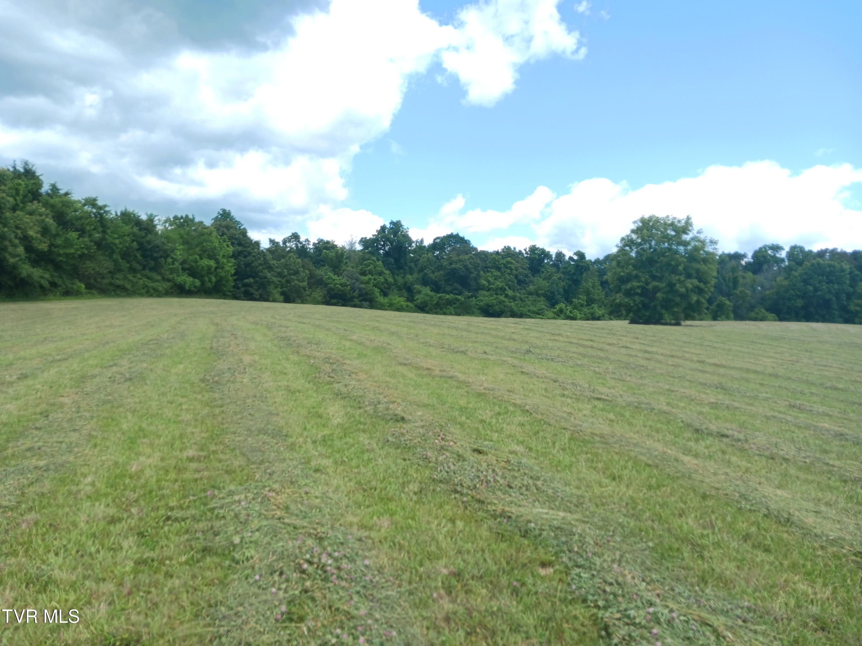 0 Old Stage Road Greeneville, TN 37745 - Photo 8 of 17 20240528_124017