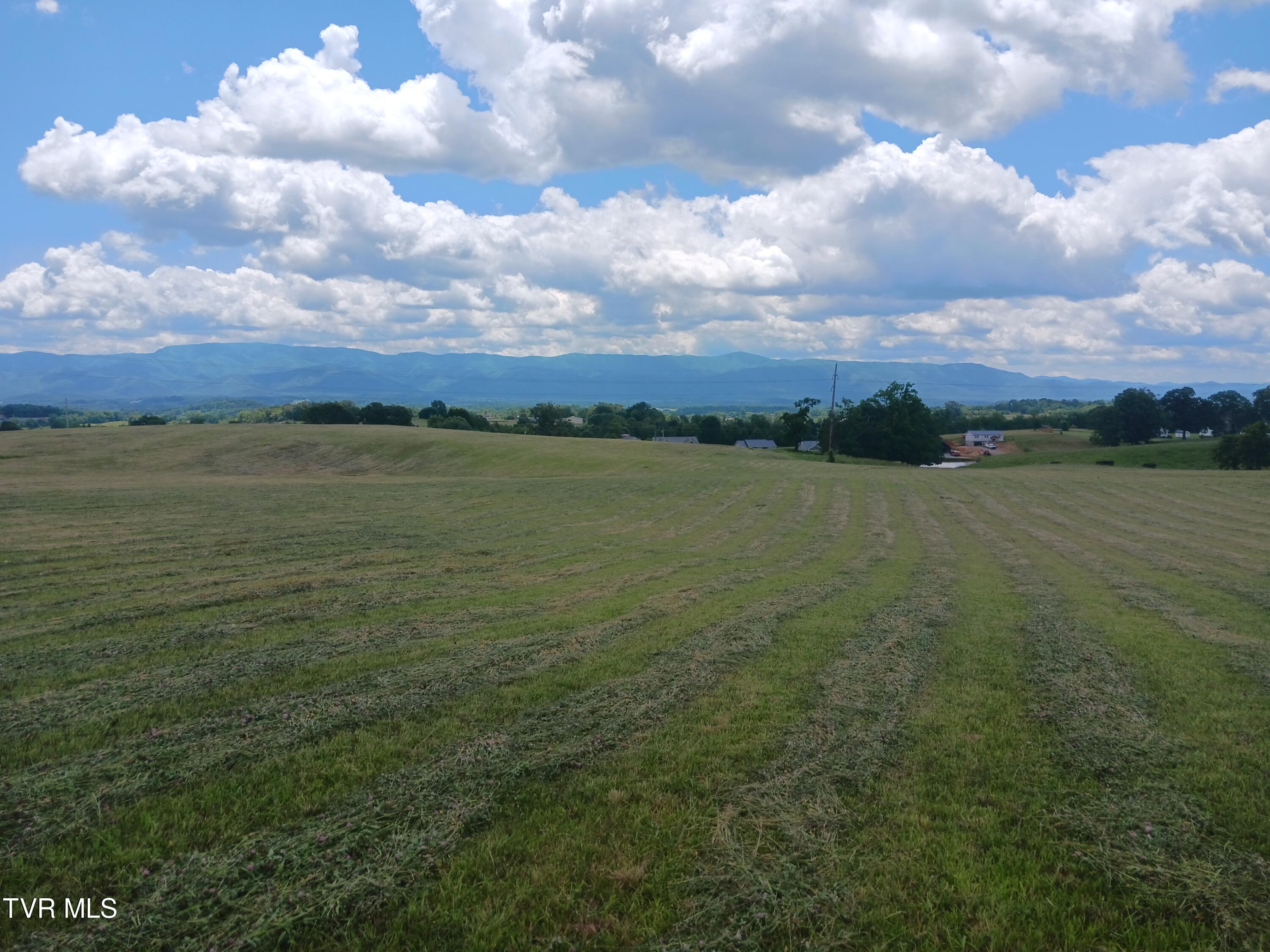 0 Old Stage Road Greeneville, TN 37745 - Photo 10 of 17 20240528_124848