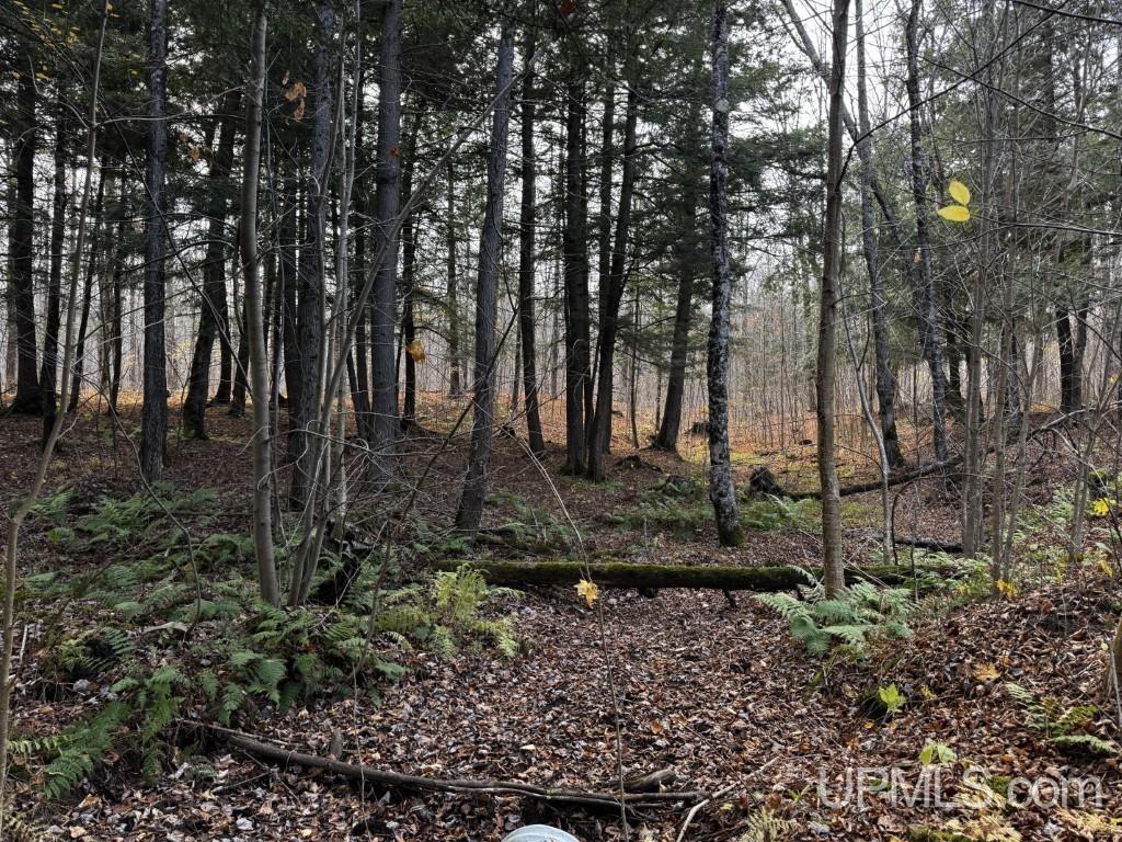 Tbd Off Skanee Road Skanee, MI 49962 - Photo 3 of 32