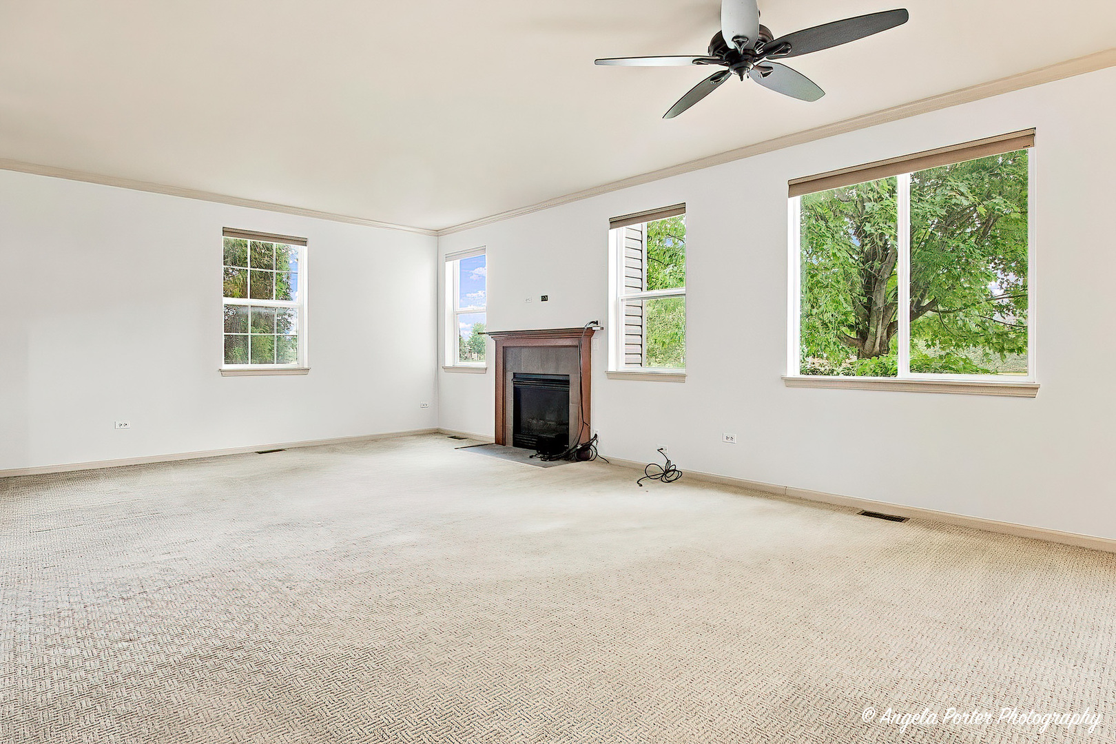 Gallery Image 7
