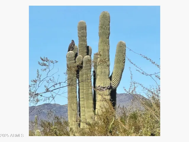$1,575,000 | 0 North Cave Creek Road, Carefree, AZ 85377