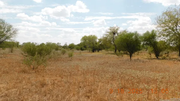 a view of a field with trees in background