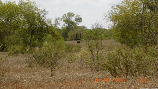 a view of a green field of the house