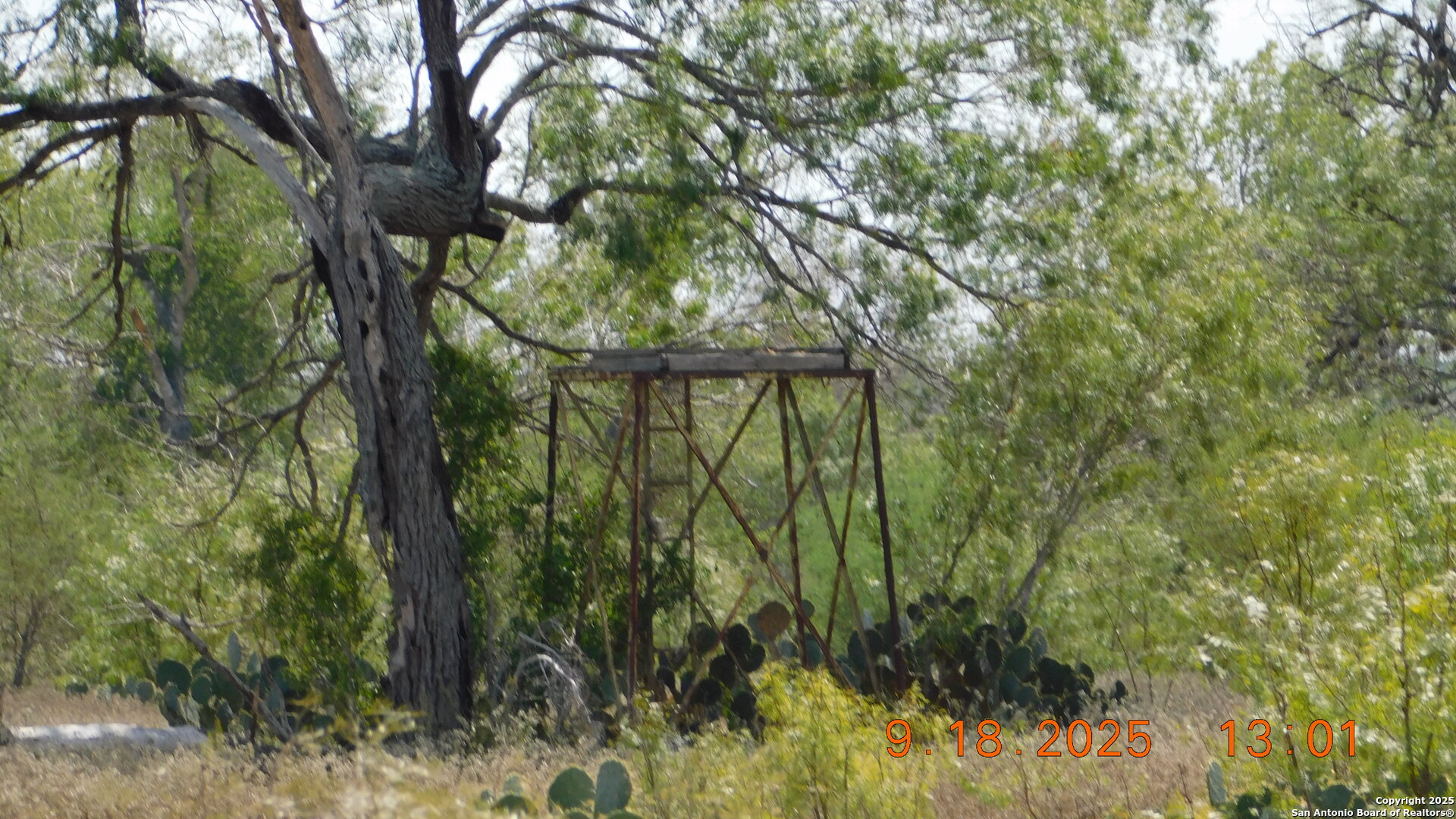 3 Gansky Lane Pleasanton, TX 78064 - Photo 14 of 45