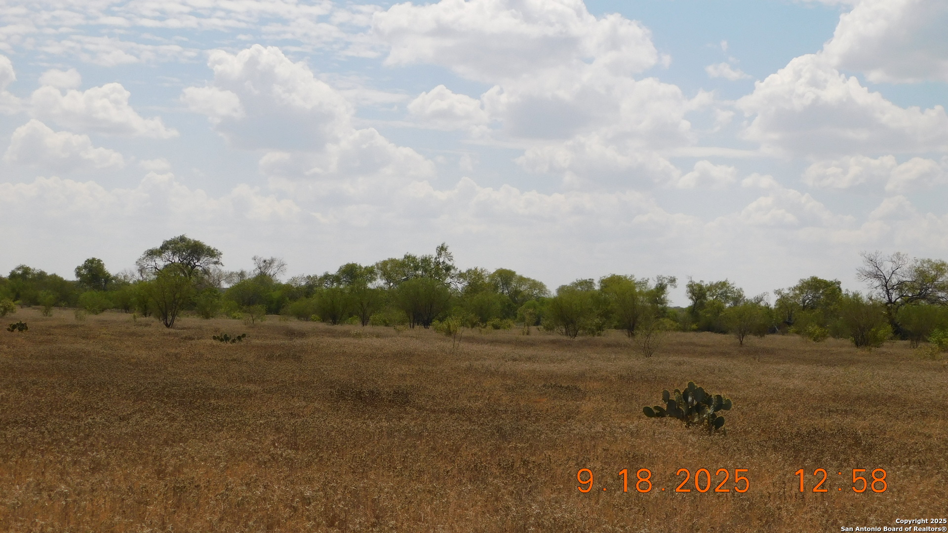 3 Gansky Lane Pleasanton, TX 78064 - Photo 15 of 45 a view of a field with trees in background