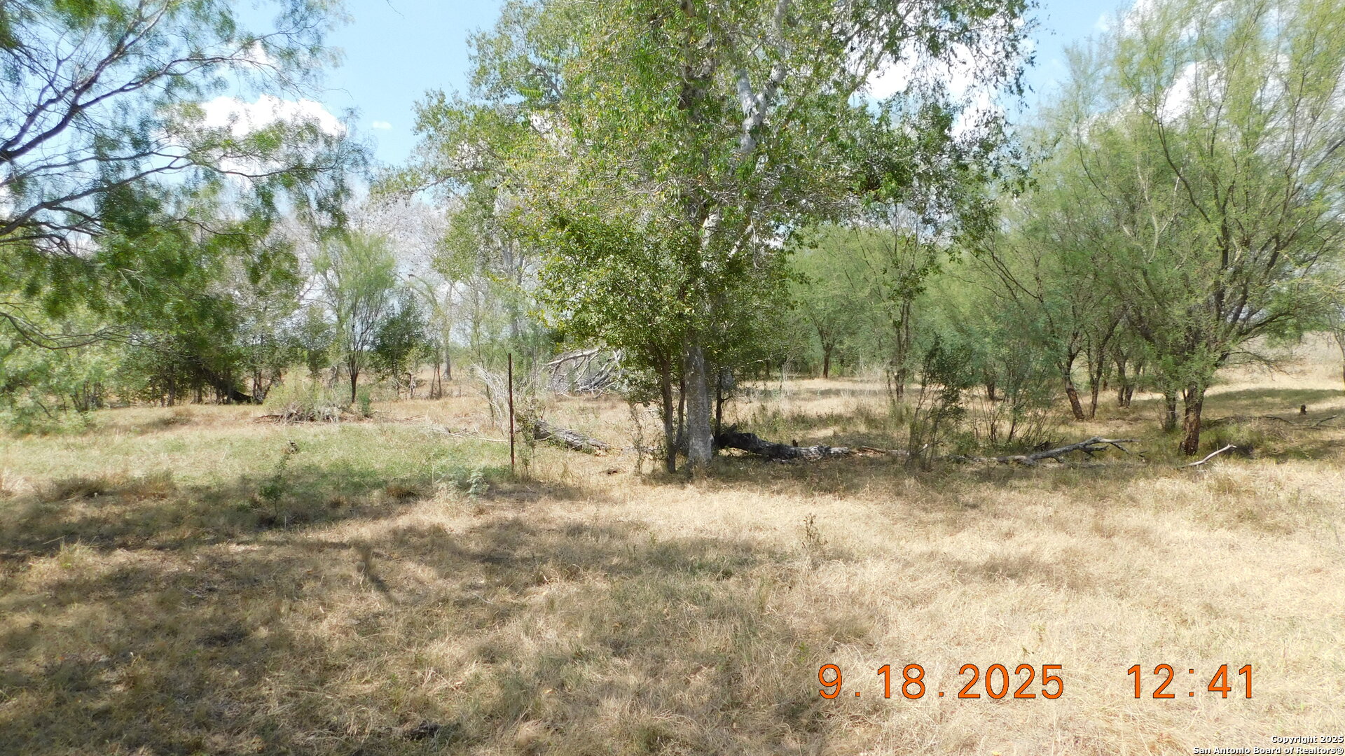 3 Gansky Lane Pleasanton, TX 78064 - Photo 20 of 45 a view of yard