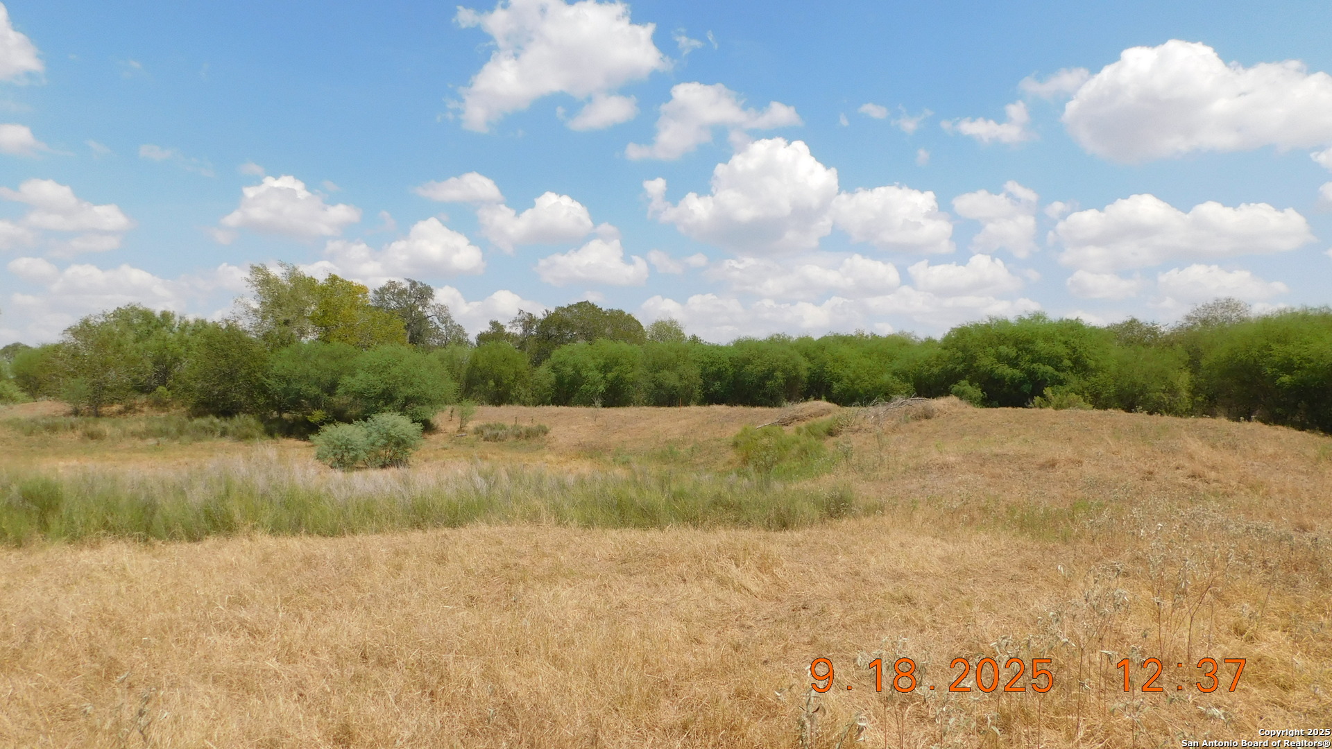 3 Gansky Lane Pleasanton, TX 78064 - Photo 22 of 45