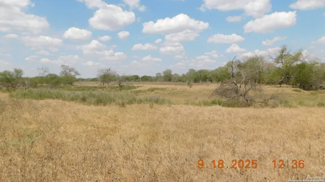 a view of a house with backyard porch and garden