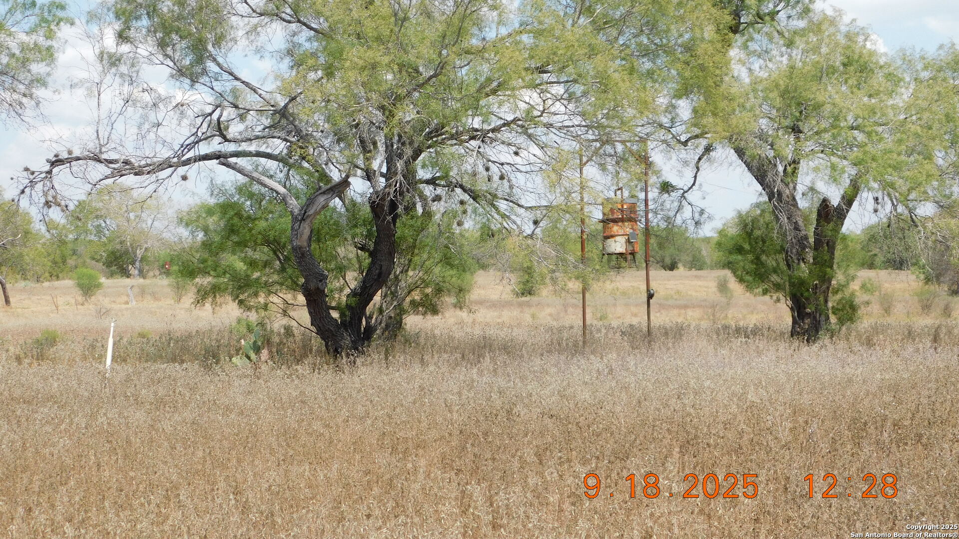 3 Gansky Lane Pleasanton, TX 78064 - Photo 26 of 45 a view of a yard