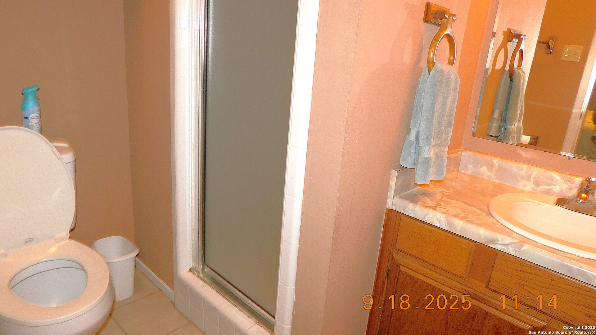 3 Gansky Lane Pleasanton, TX 78064 - Photo 42 of 45 a bathroom with a sink and a toilet