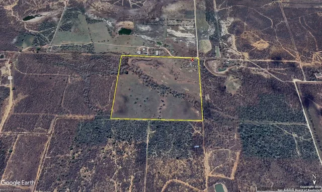 a view of a dry yard with trees in the background