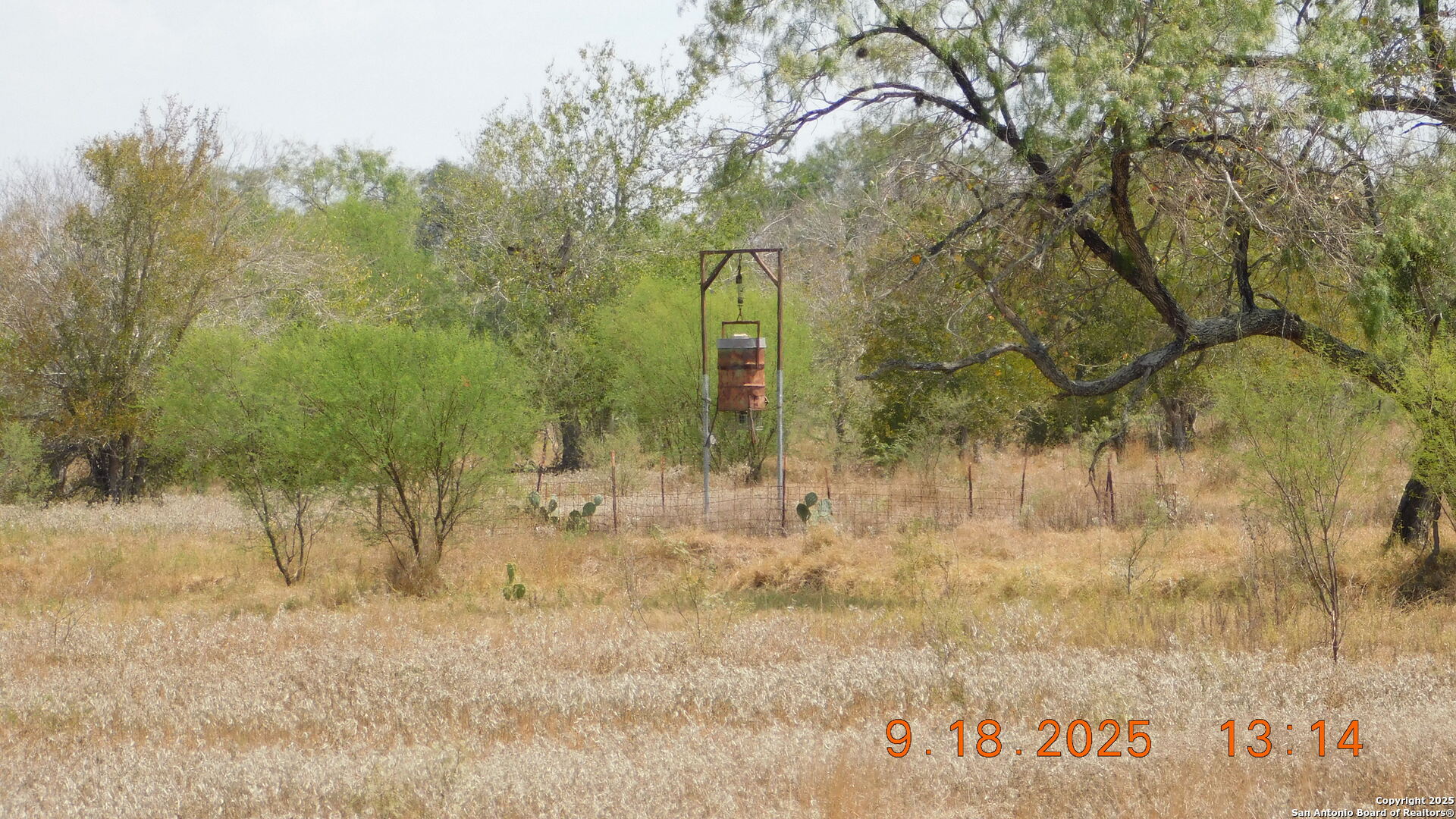 3 Gansky Lane Pleasanton, TX 78064 - Photo 6 of 45 a view of a yard with large trees