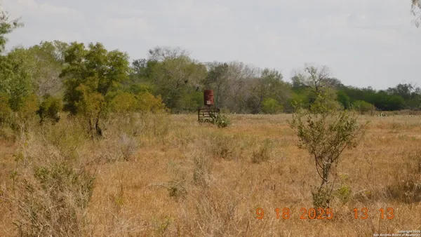a view of a field with trees in background