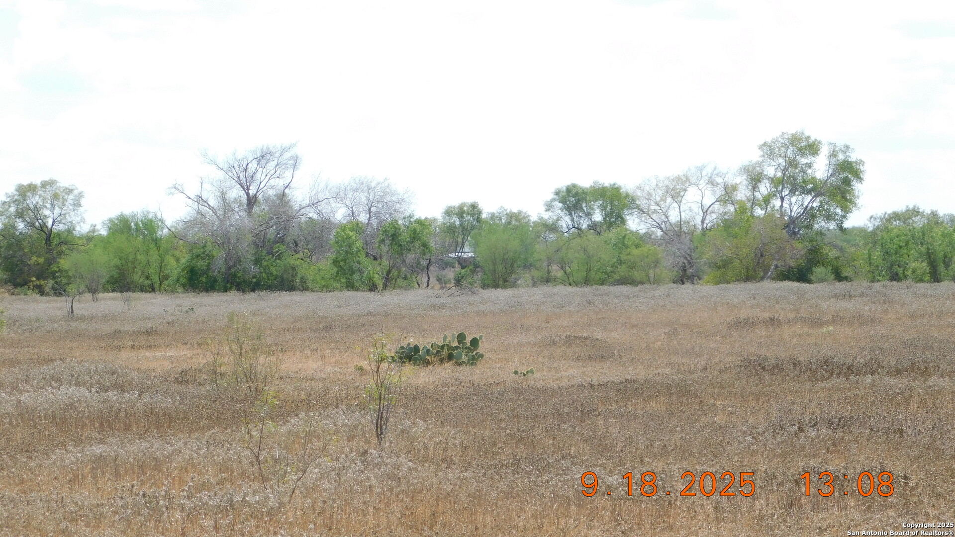 3 Gansky Lane Pleasanton, TX 78064 - Photo 9 of 45 a view of a field with trees in background