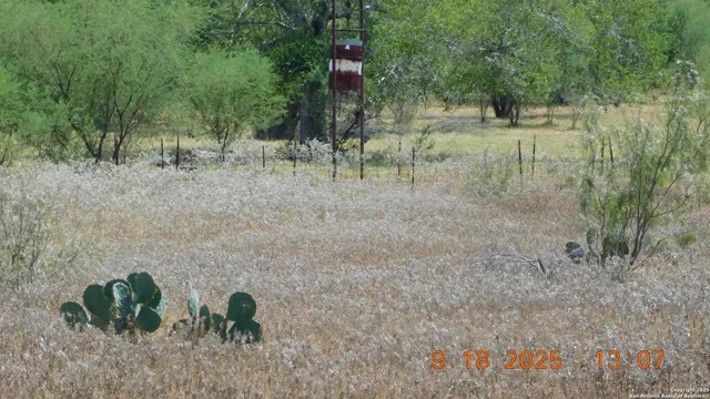 a view of lake with green space