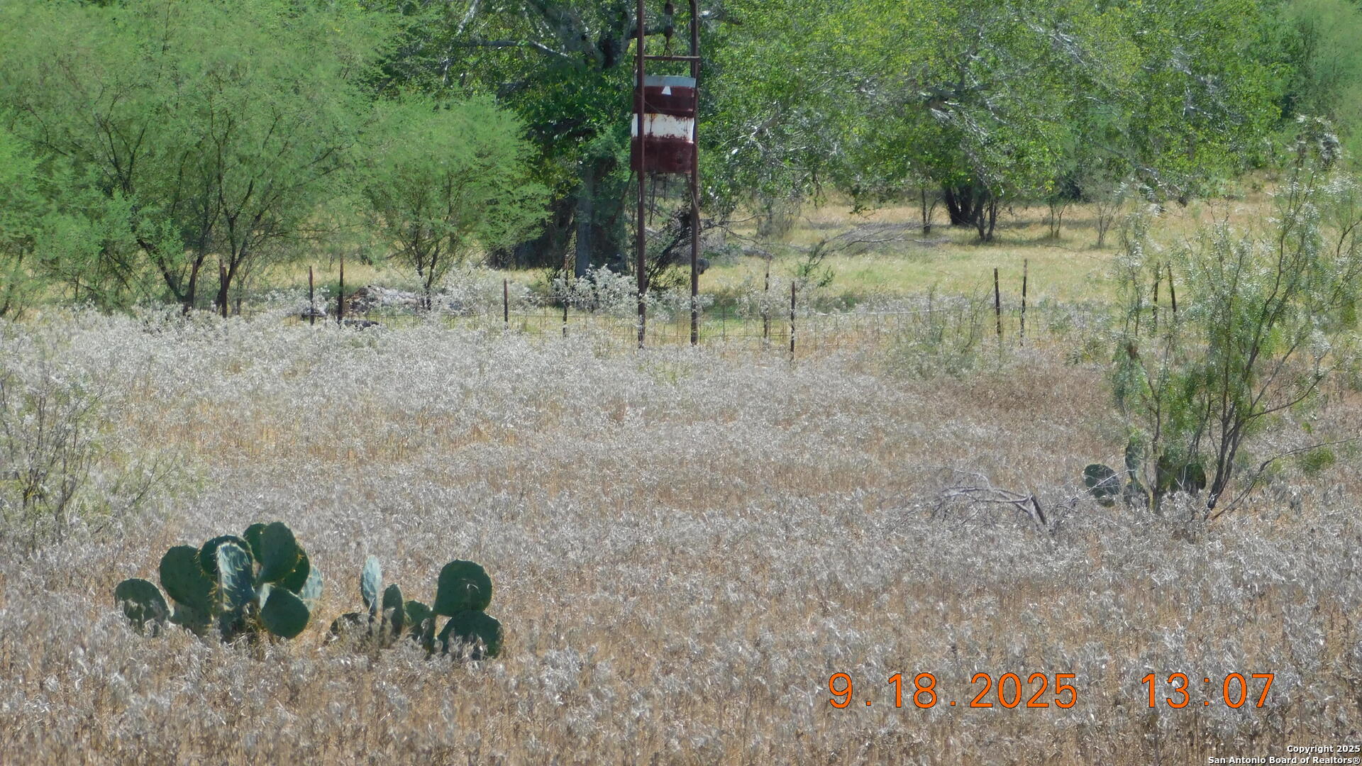 3 Gansky Lane Pleasanton, TX 78064 - Photo 10 of 45
