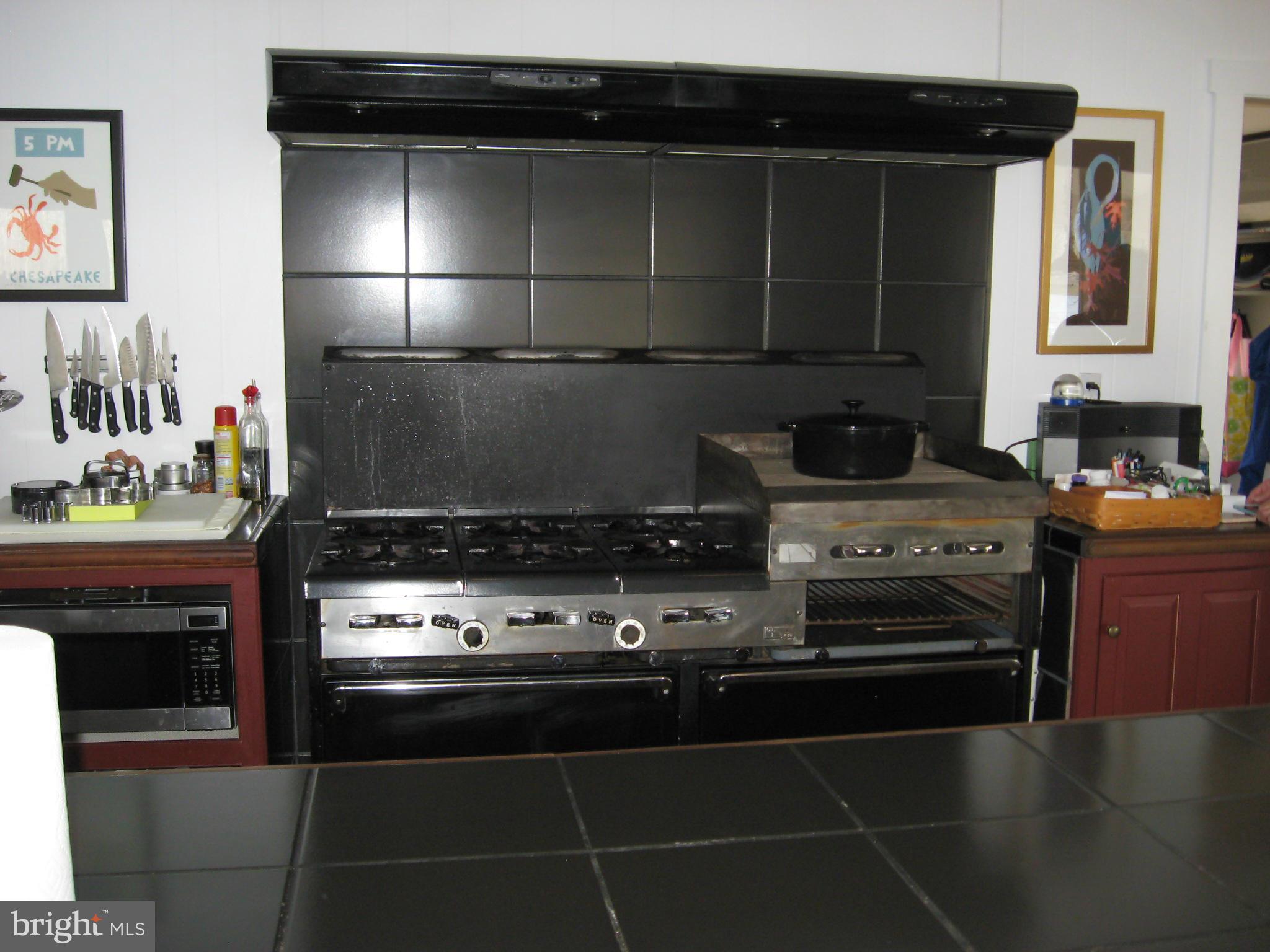 25130 Smith Landing Road Denton, MD 21629 - Photo 9 of 30 Kitchen