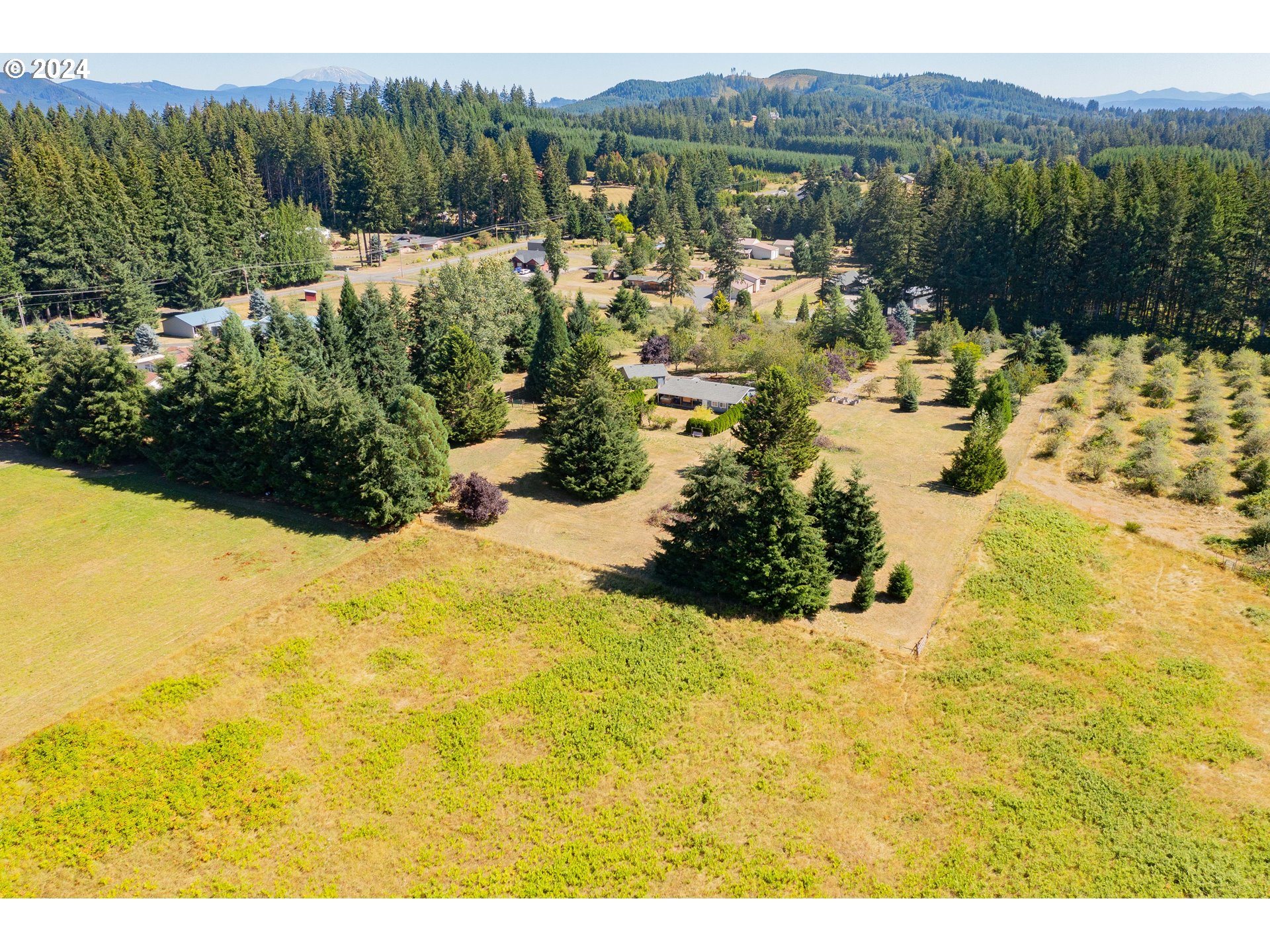 39616 Northeast Christensen Road La Center, WA 98629 - Photo 46 of 48 Gallery Image 46