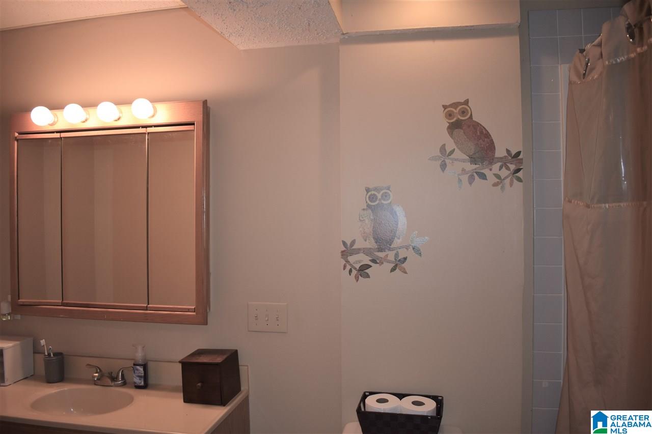 195 Mountain Oaks Vly Road Warrior, AL 35180 - Photo 16 of 23
