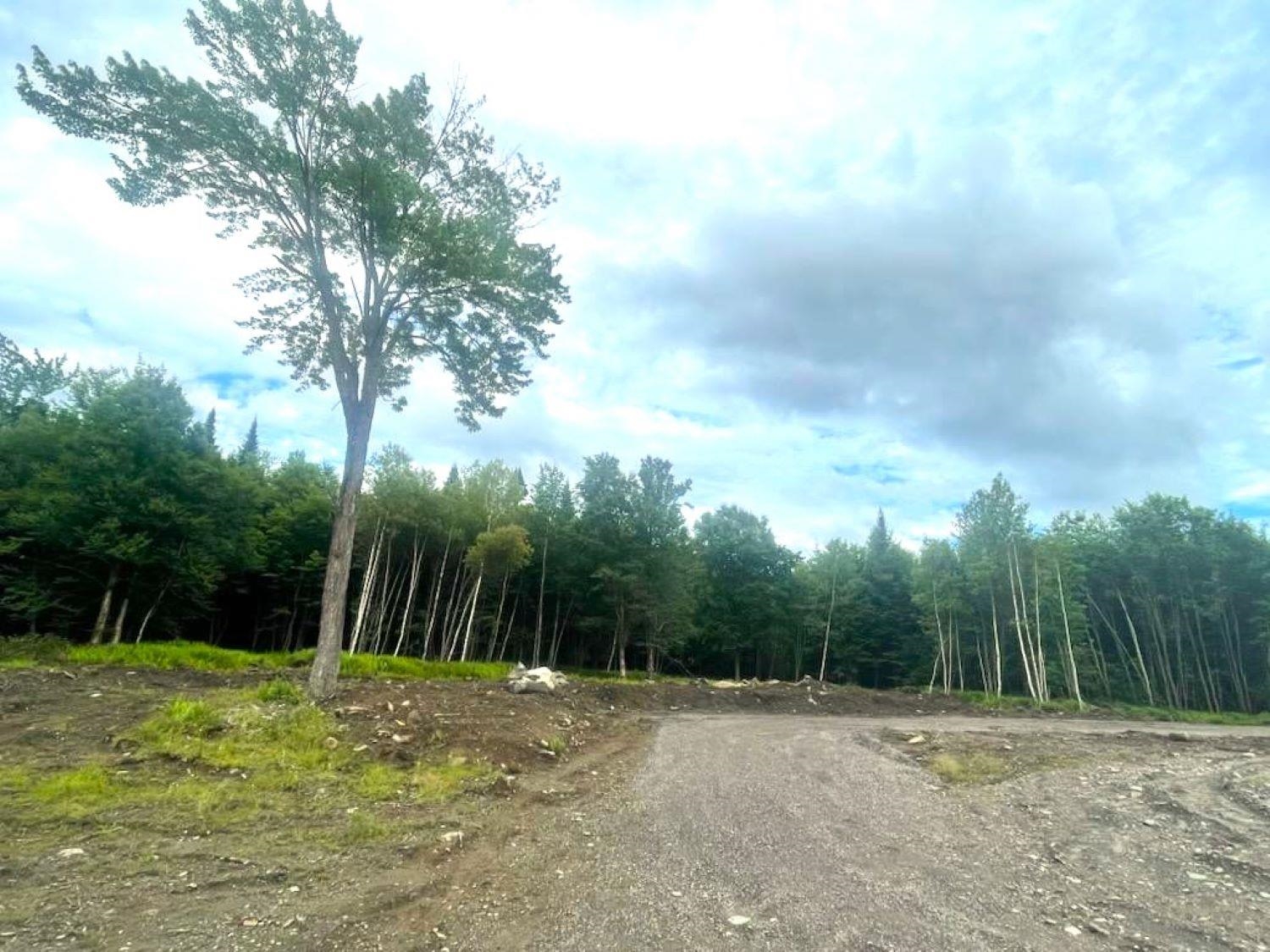 9 Silver Maple Lane Colebrook, NH 03576 - Photo 5 of 6