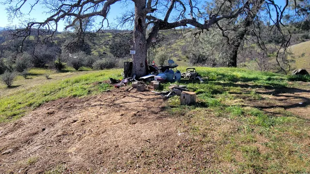 a view of a forest with mountains in the background