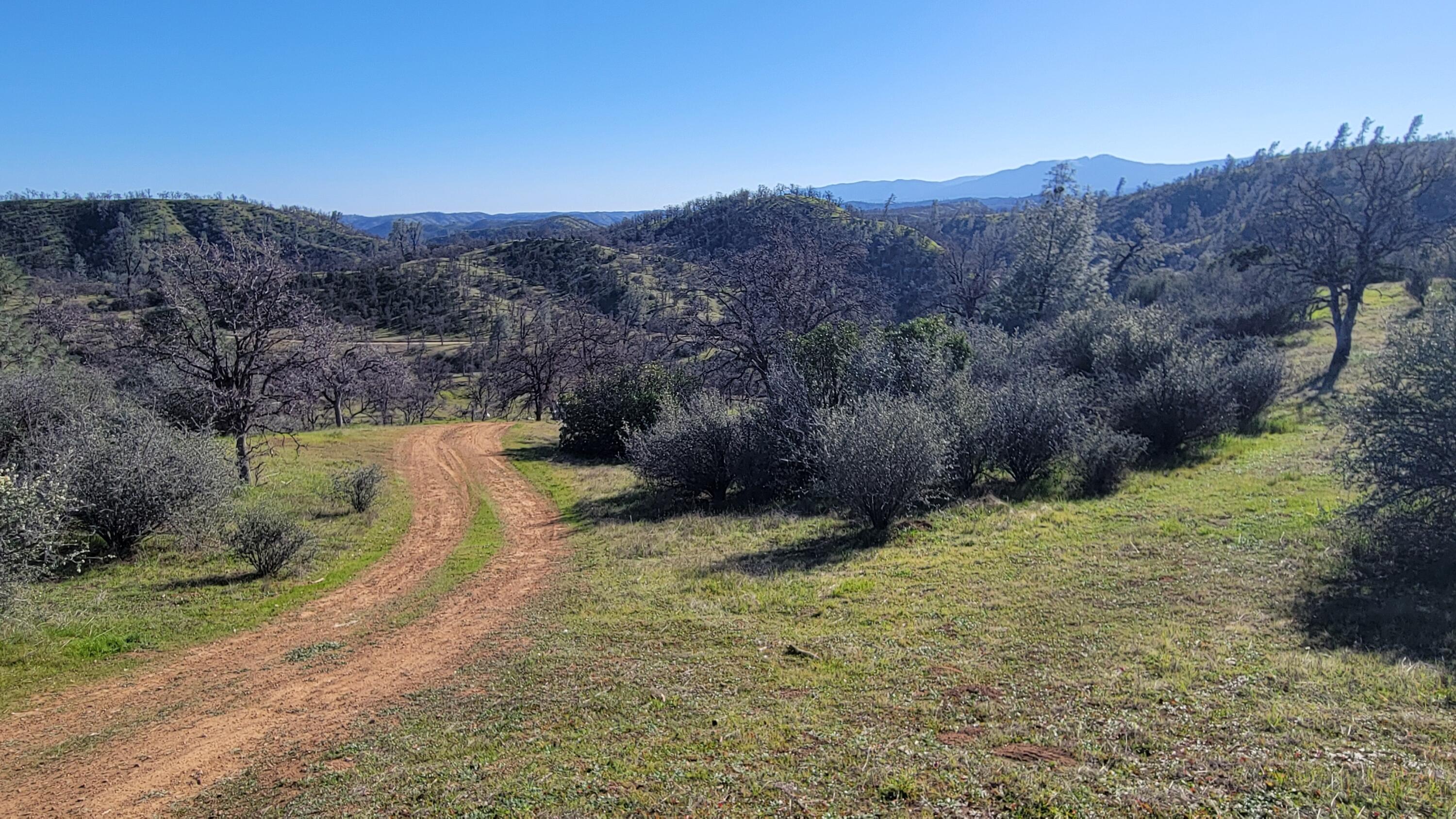 Lot 207 Fiddlers Road Igo, CA 96047 - Photo 12 of 23 20260204_141950